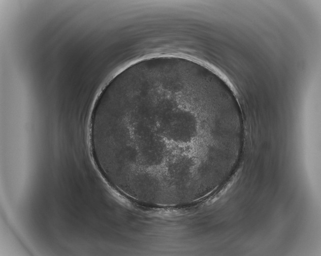 X0000116871525200912291309