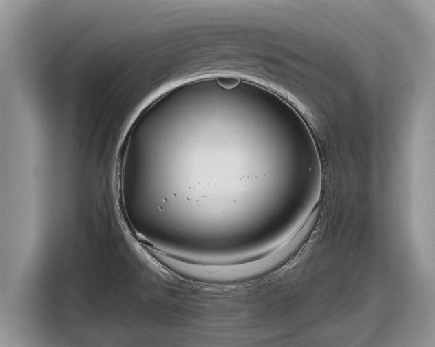 X0000116871526200912291309