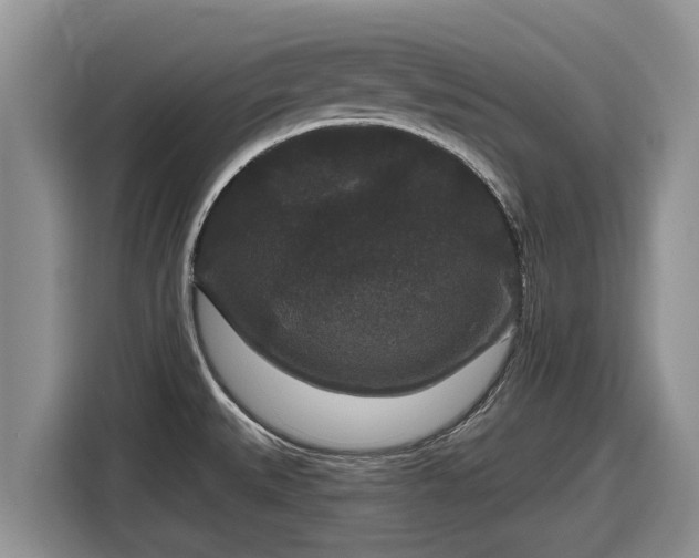 X0000116871527200912291309