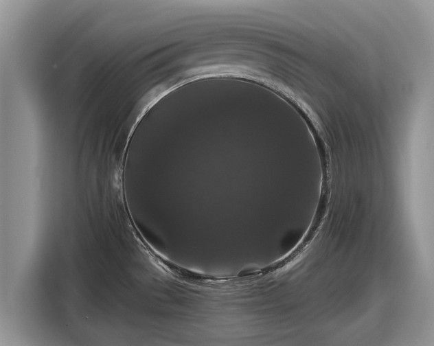 X0000116871529200912291309