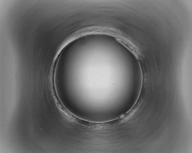 X0000116871530200912291309