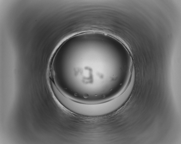 X0000116871531200912291309