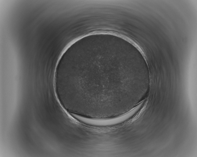 X0000116871533200912291309