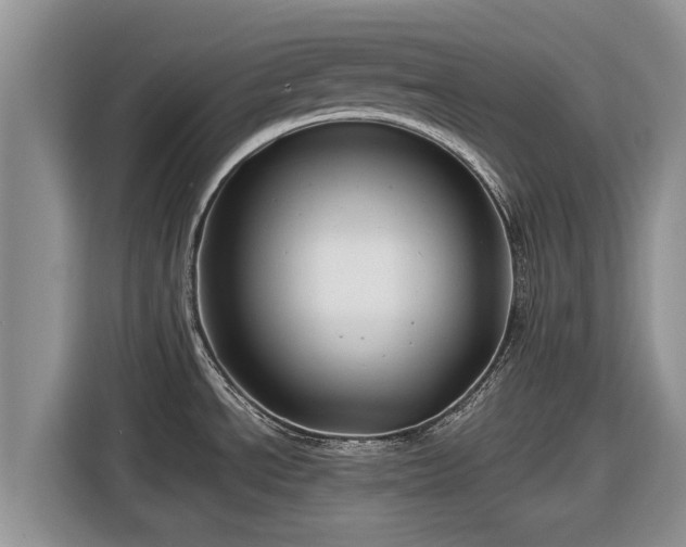 X0000116871534200912291309
