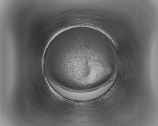 X0000116871535200912291309