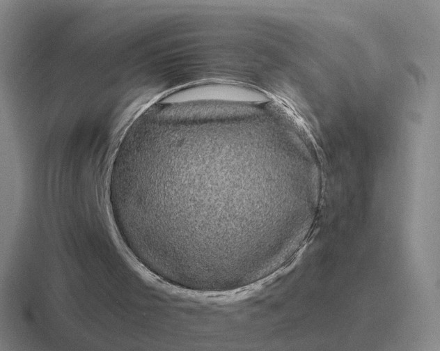 X0000116870001201001051453