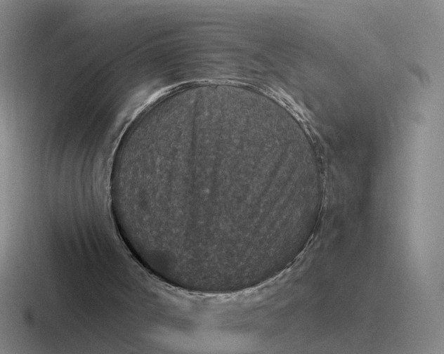 X0000116870002201001051453