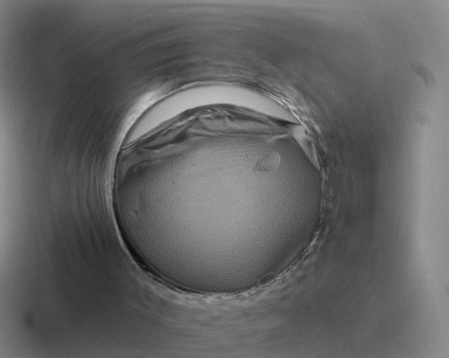 X0000116870003201001051453