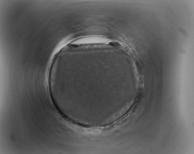 X0000116870004201001051453