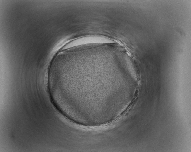 X0000116870005201001051453