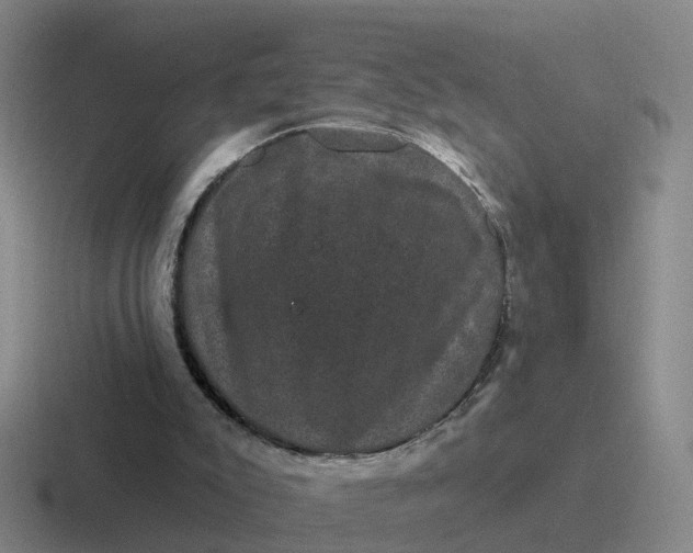 X0000116870007201001051453