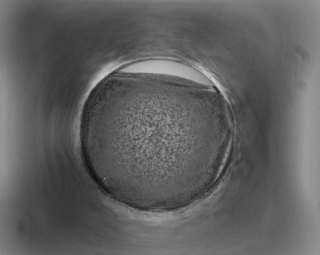 X0000116870008201001051453