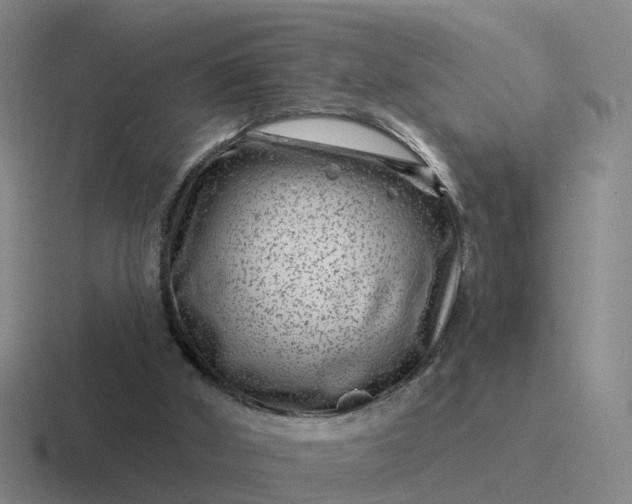 X0000116870010201001051453