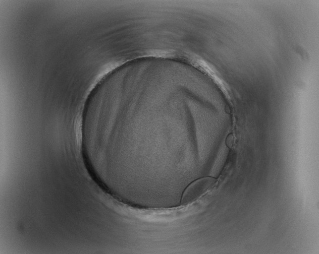 X0000116870011201001051453