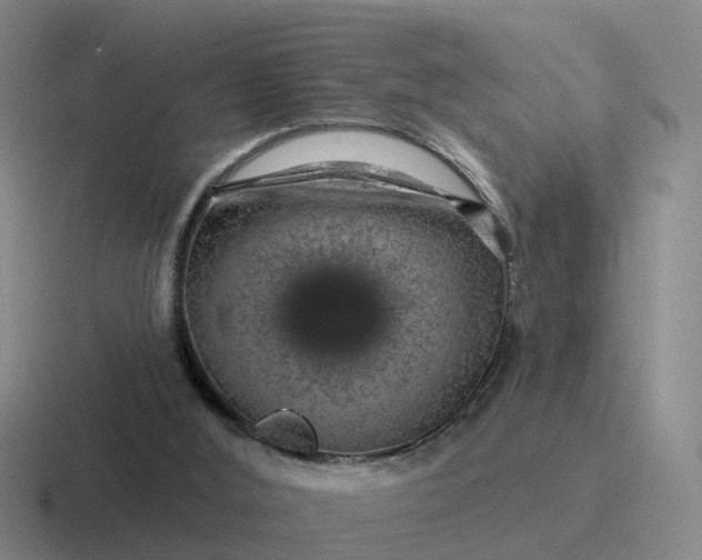 X0000116870012201001051453