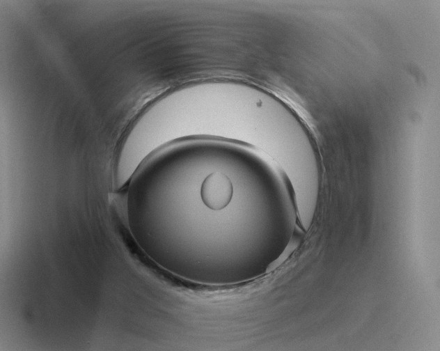 X0000116870013201001051453