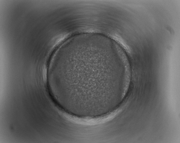 X0000116870014201001051453