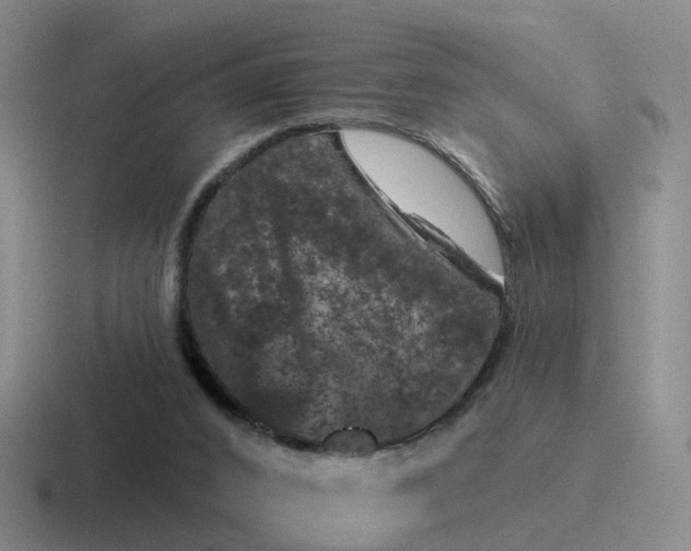 X0000116870016201001051453