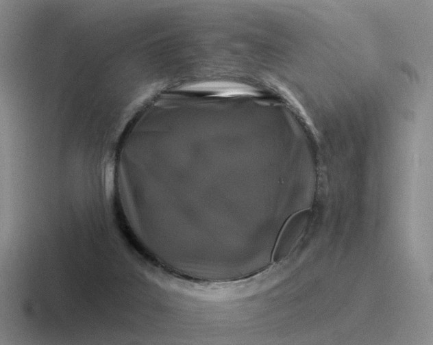 X0000116870019201001051453