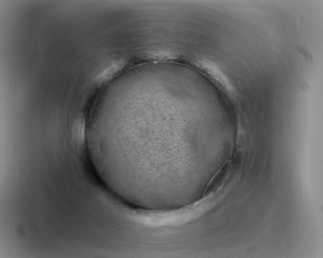 X0000116870021201001051453