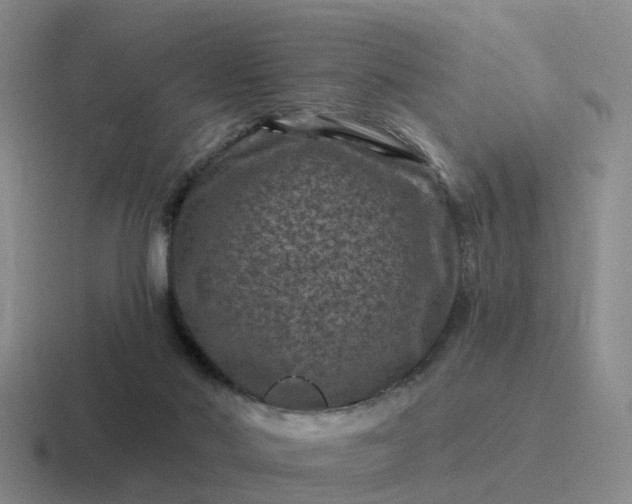 X0000116870022201001051453