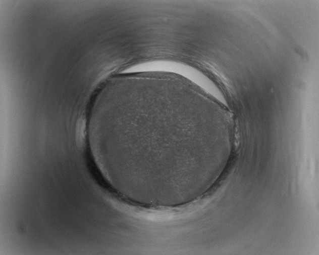 X0000116870024201001051453