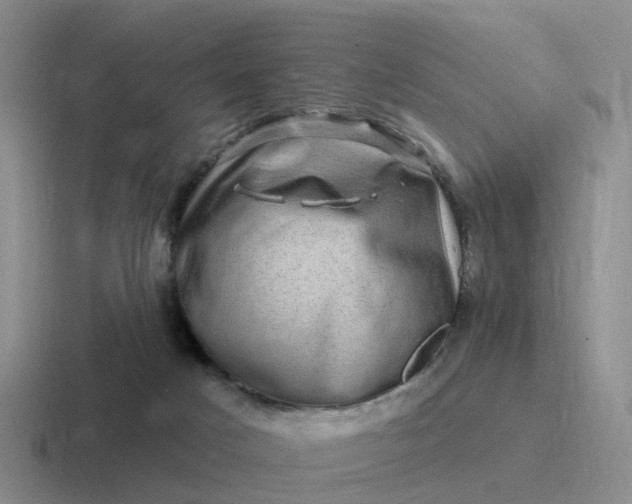 X0000116870025201001051453