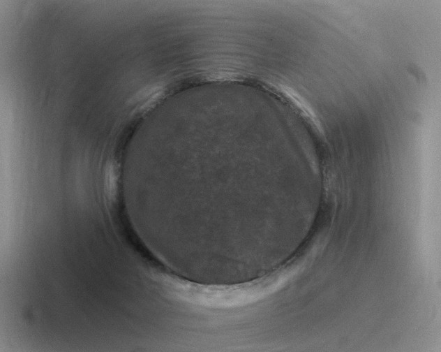 X0000116870026201001051453