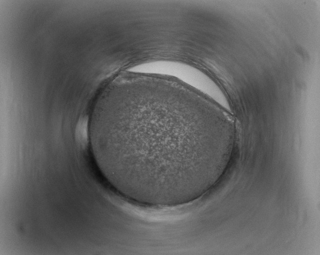 X0000116870028201001051453