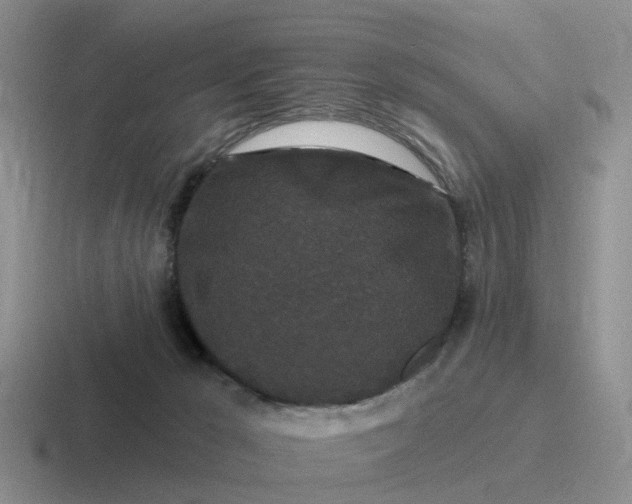 X0000116870029201001051453