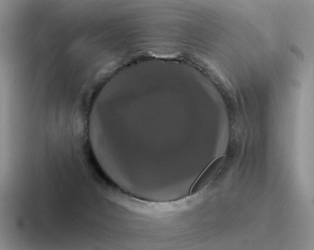 X0000116870031201001051453