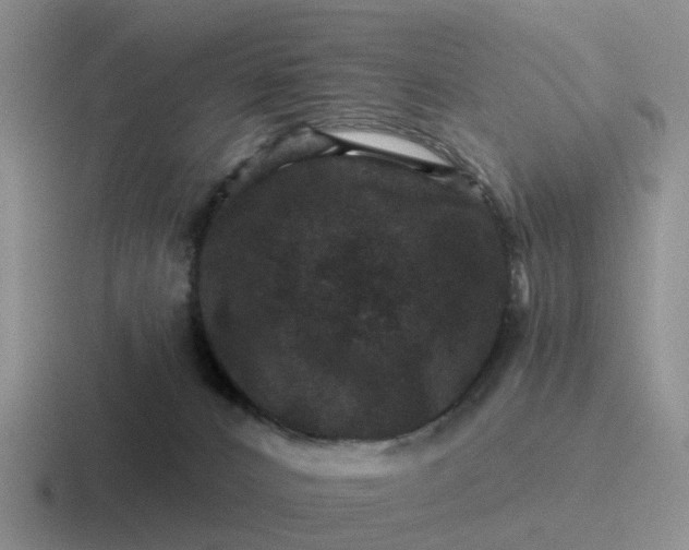 X0000116870032201001051453