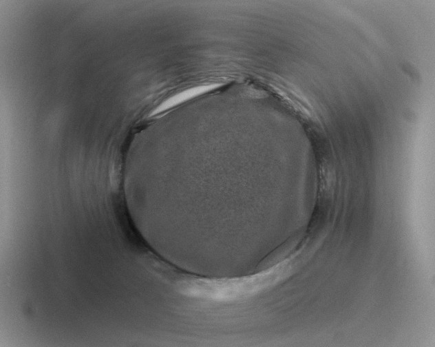 X0000116870033201001051453