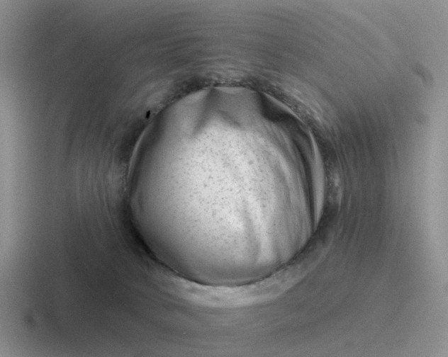 X0000116870034201001051453