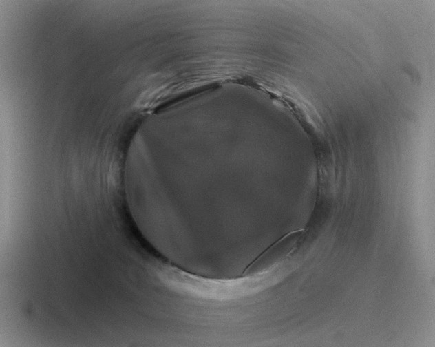 X0000116870035201001051453