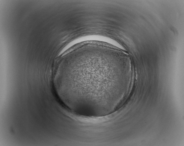 X0000116870036201001051453