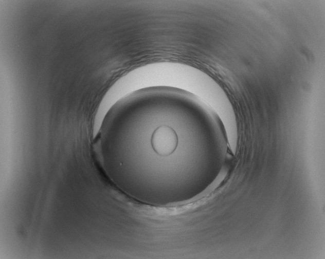 X0000116870037201001051453