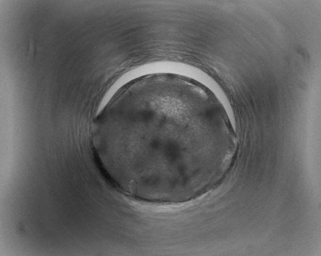 X0000116870040201001051453