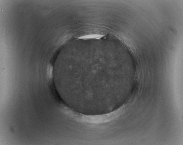 X0000116870041201001051453