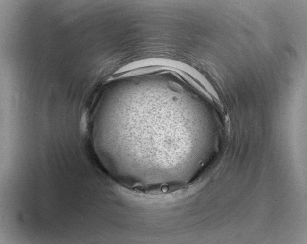 X0000116870042201001051453