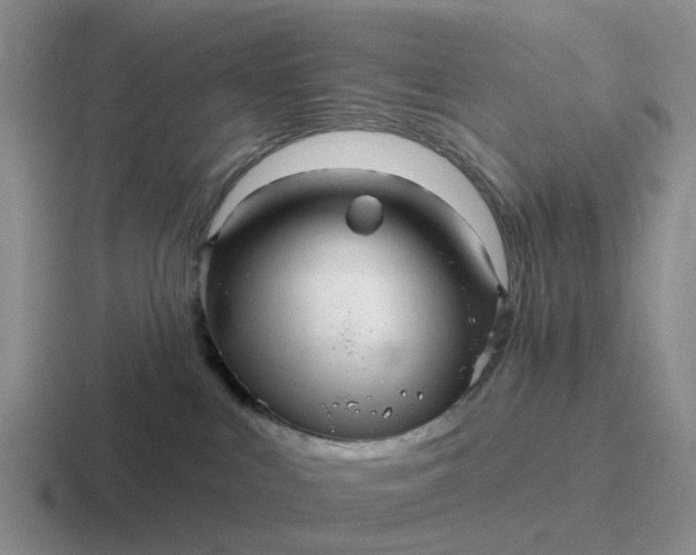 X0000116870043201001051453