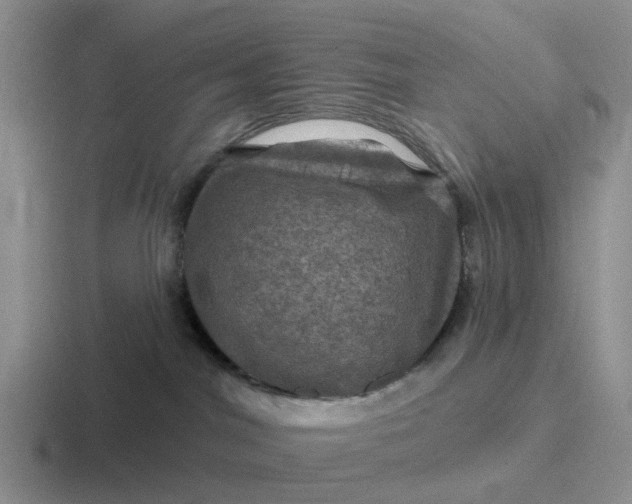 X0000116870044201001051453