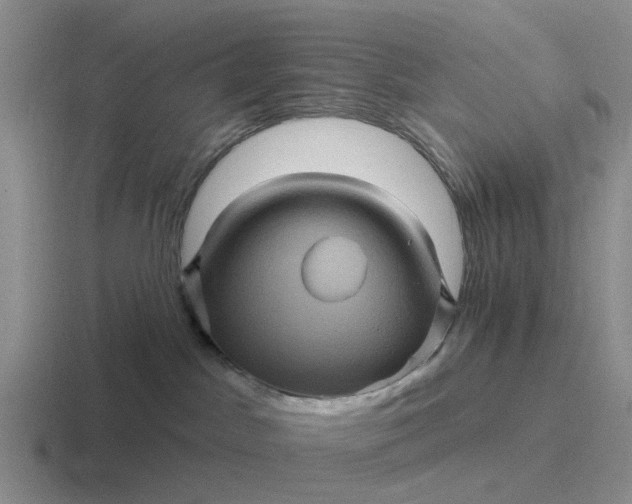 X0000116870045201001051453