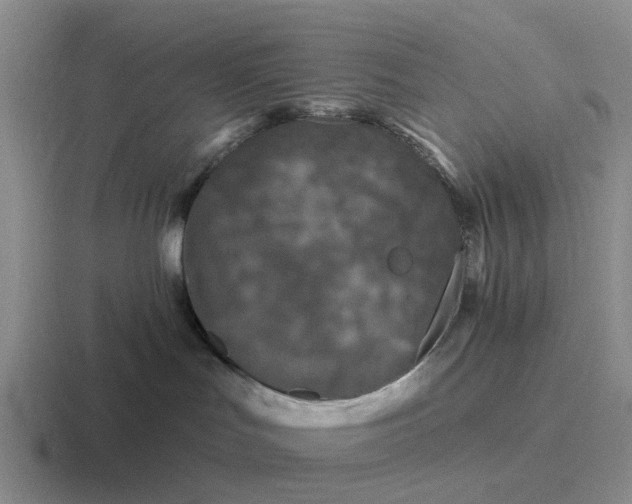 X0000116870047201001051453