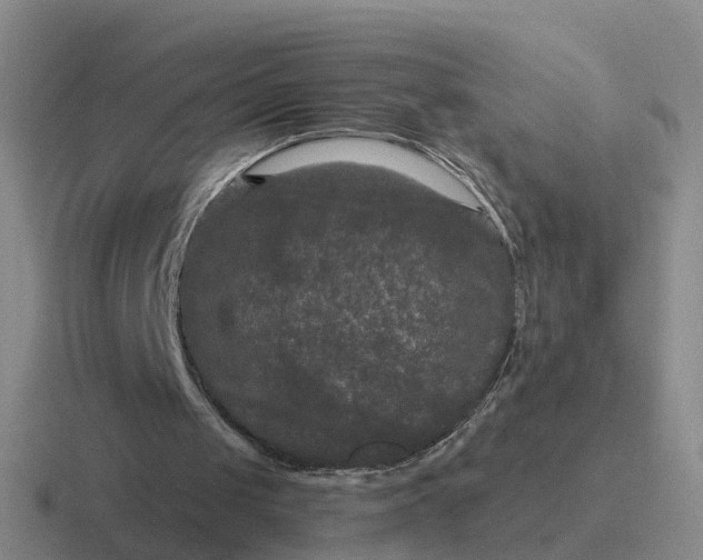 X0000116870049201001051452