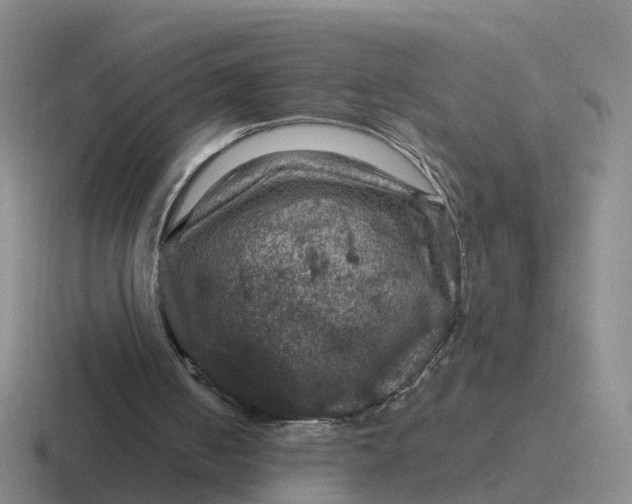 X0000116870050201001051452