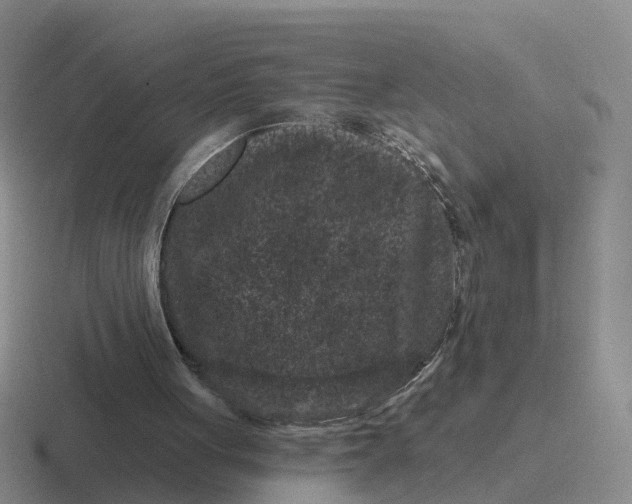 X0000116870051201001051452