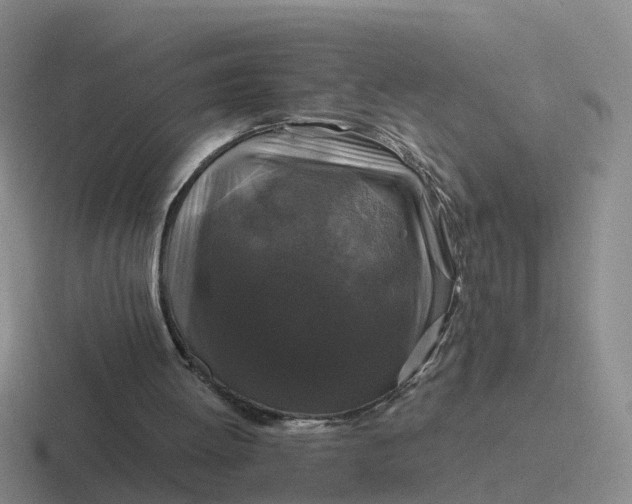 X0000116870052201001051452