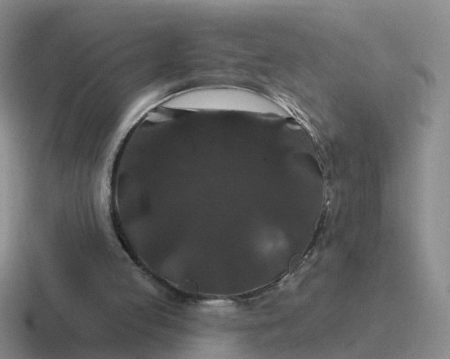 X0000116870053201001051452