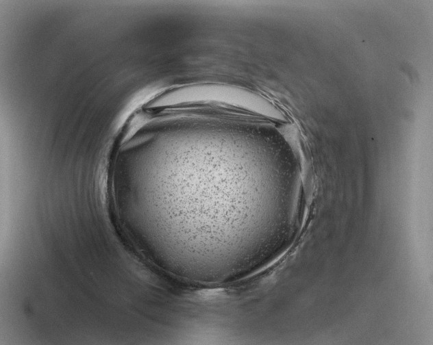 X0000116870054201001051452